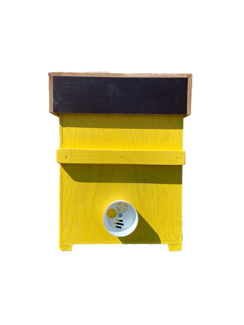 ATDALEŅU STROPS ar ventilāciju ( 7 rāmji)